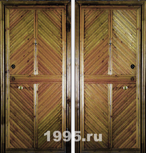 Входные двери в баню с евровагонкой