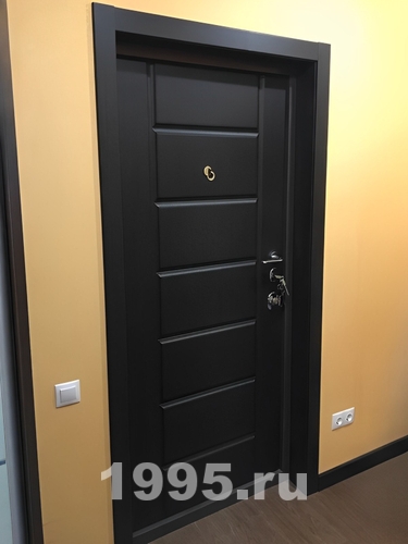 Дверь с панелью цвета венге Дверь с панелью цвета венге